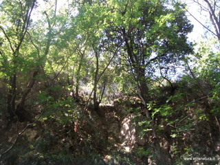 ldaia del Drago19-07-2015 10-21-02